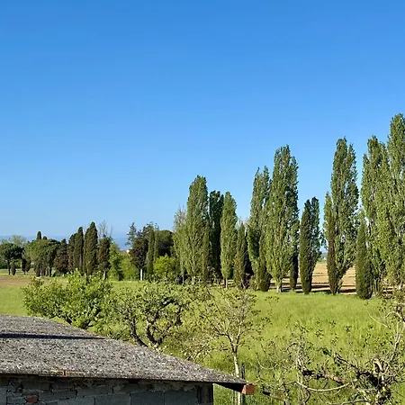 Tuscan - Pisa, Lucca E Firenze Rock *